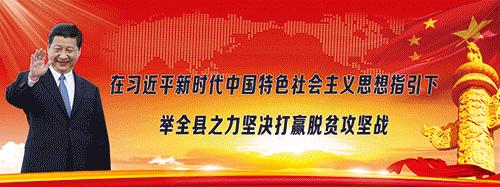 周文军:一个把茶窝子开到3个国家的景东人