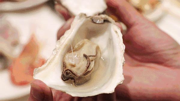 我的暑假我做主我请爸妈吃自助大餐沐森汤泉买单