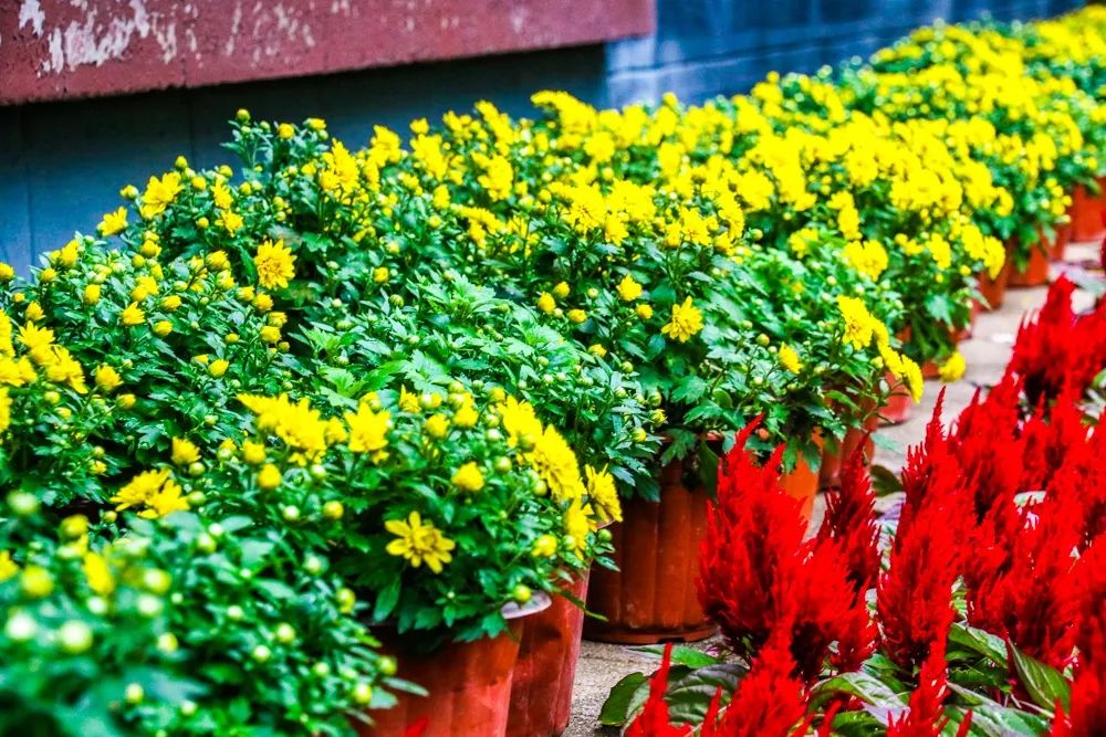 燕子矶公园讲解,燕子矶公园在哪里啊