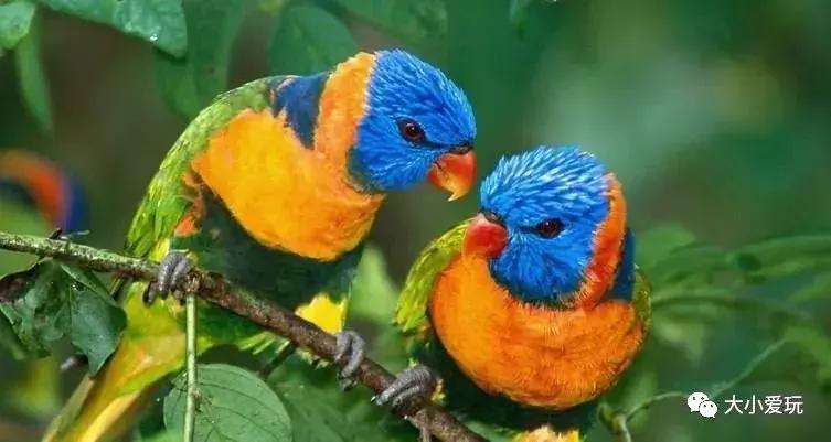 北京玩水旅游攻略带孩子,夏天孩子必去的水上乐园