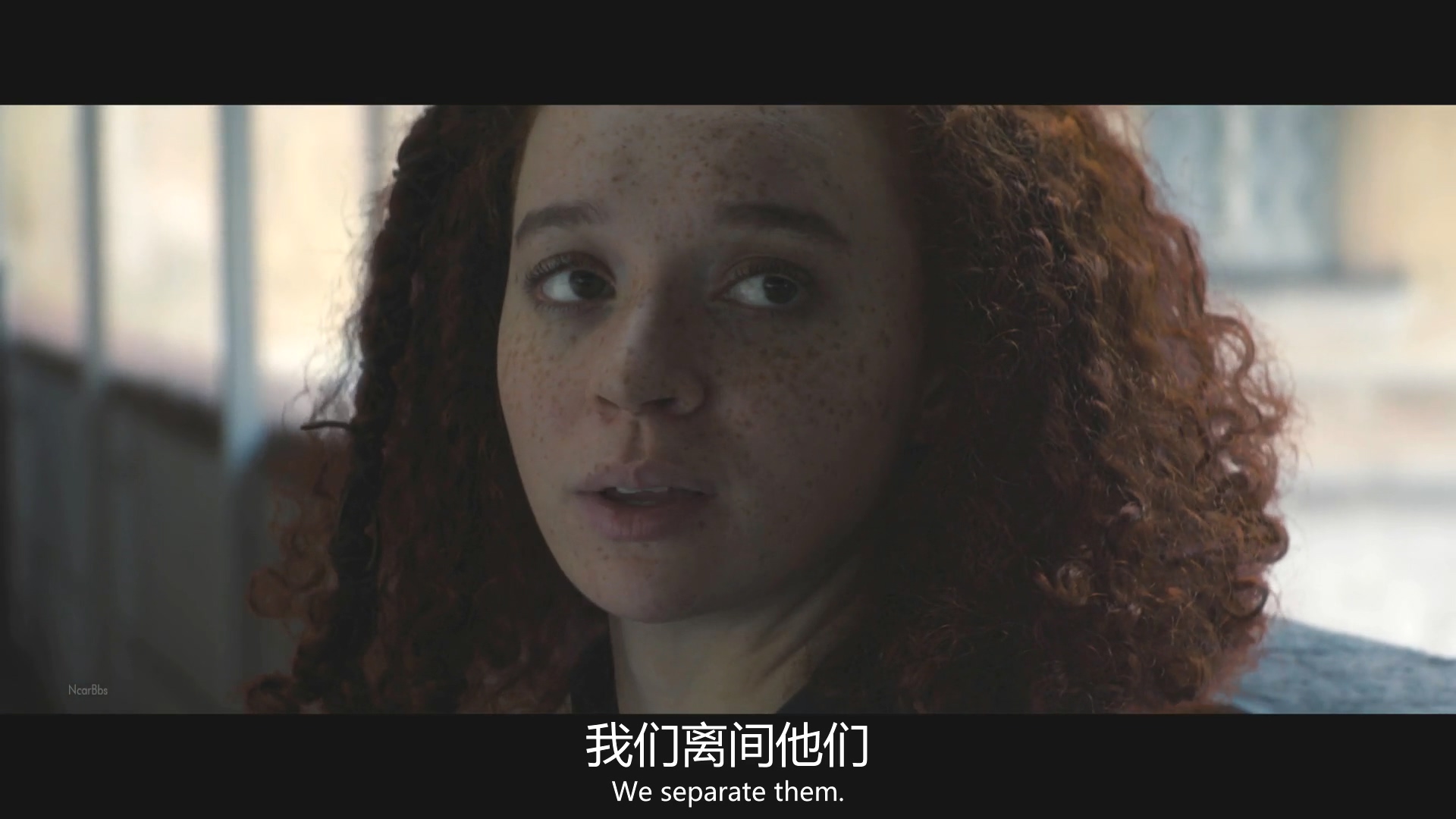 朵拉护卫队名场面,朵拉护卫队高燃