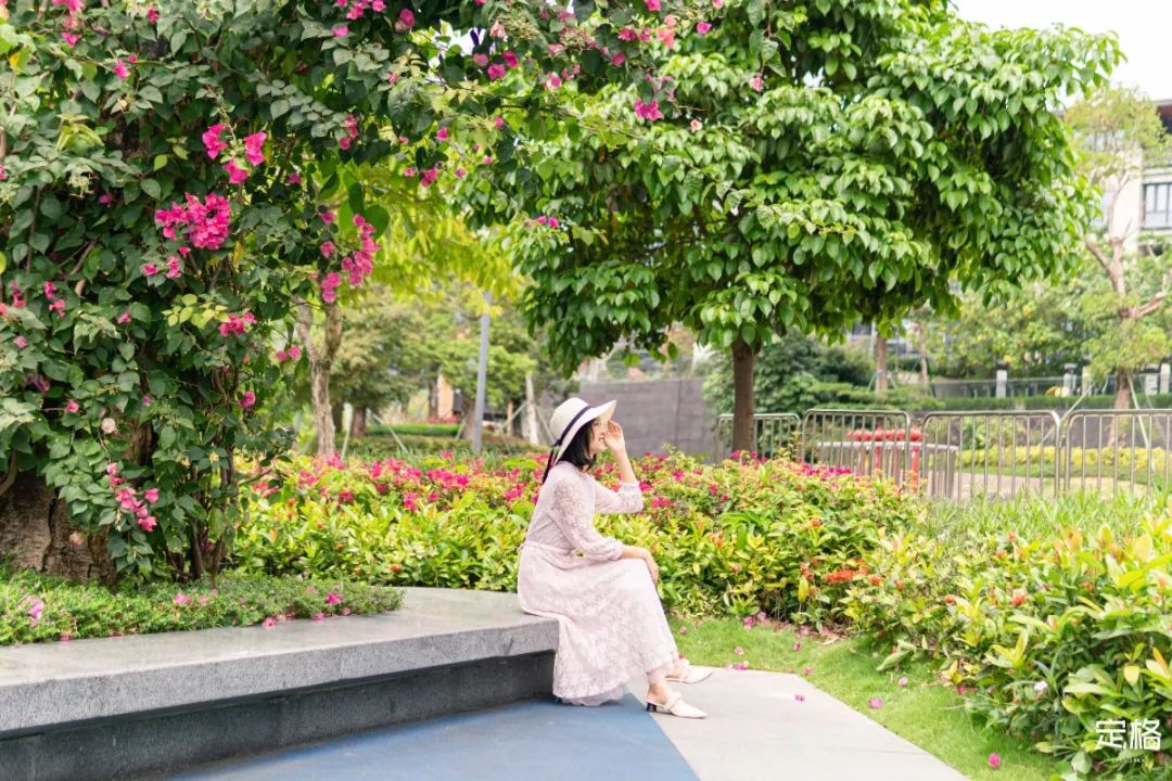 深圳人少的海滨公园,深圳滨海公园怎么样