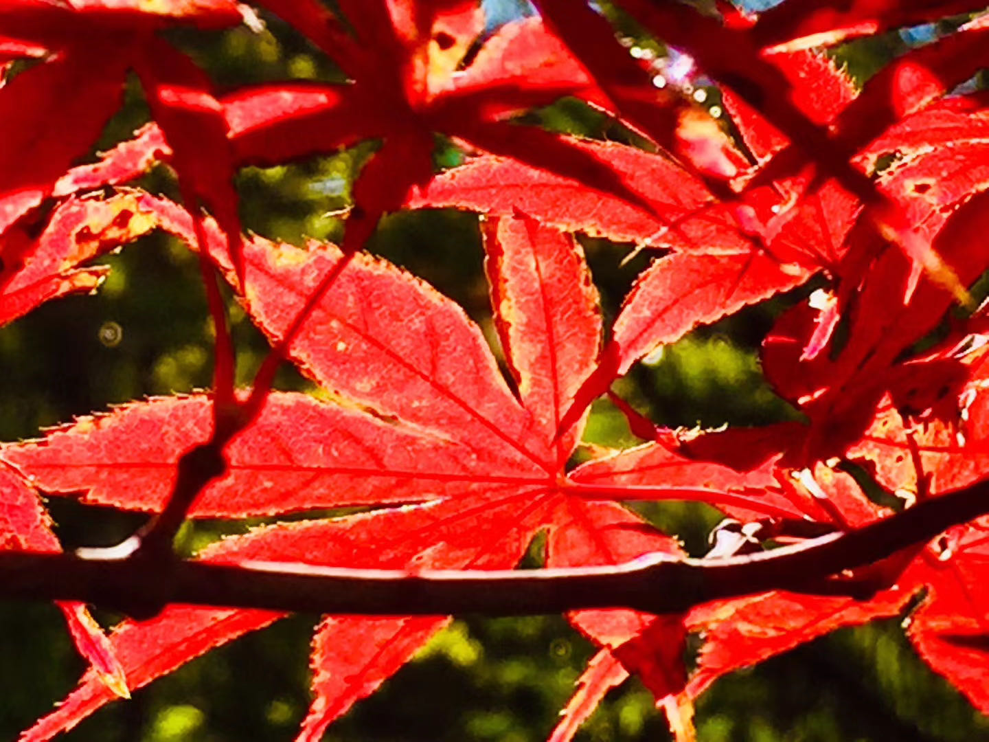 大理海东城市新闻,大理的最佳风景点