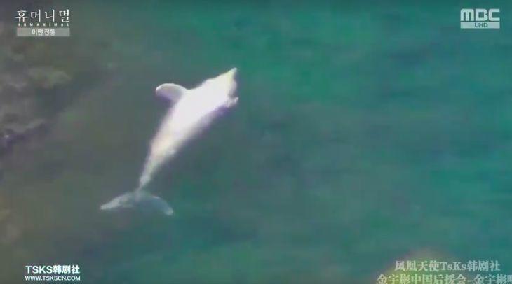 9.4分韩国催泪电视剧,韩国十部9.5评分催泪电影