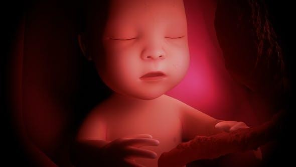 胎儿会打嗝么,胎儿会打嗝和膈肌发育有关吗