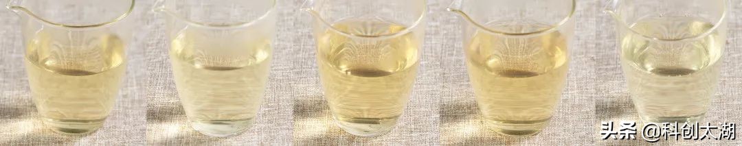 用多少度的茶泡茶最好喝,蒲公英根茶与什么泡茶最好