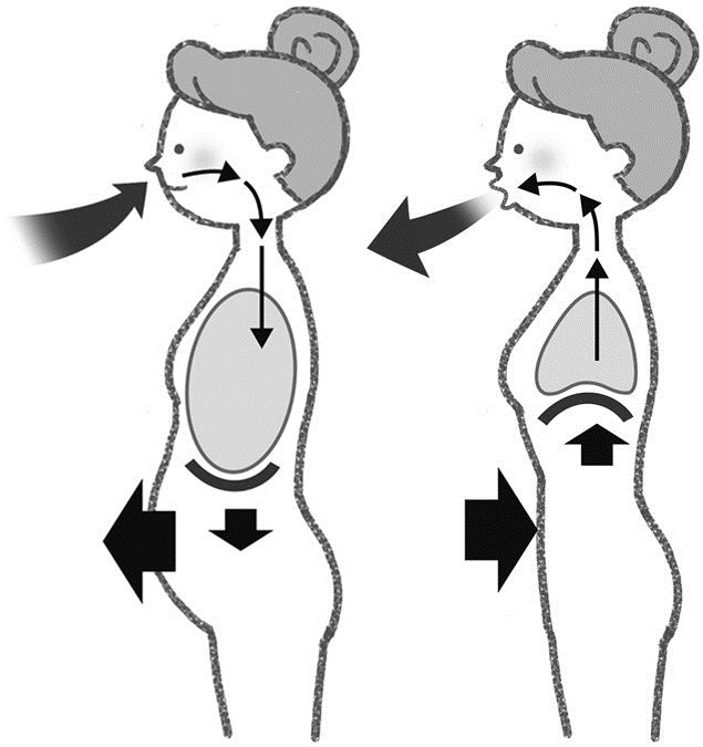 腰腹部肌肉锻炼方法图解,腰腹肌侧肌锻炼方法
