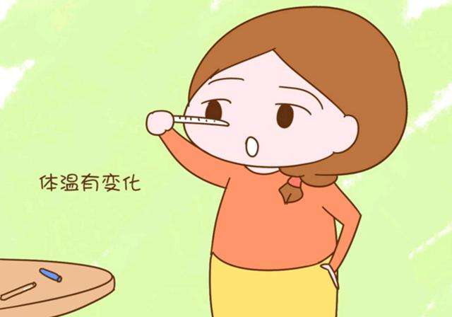 备孕请注意！女性身体出现6个特征，说明排卵期到了，要把握时机