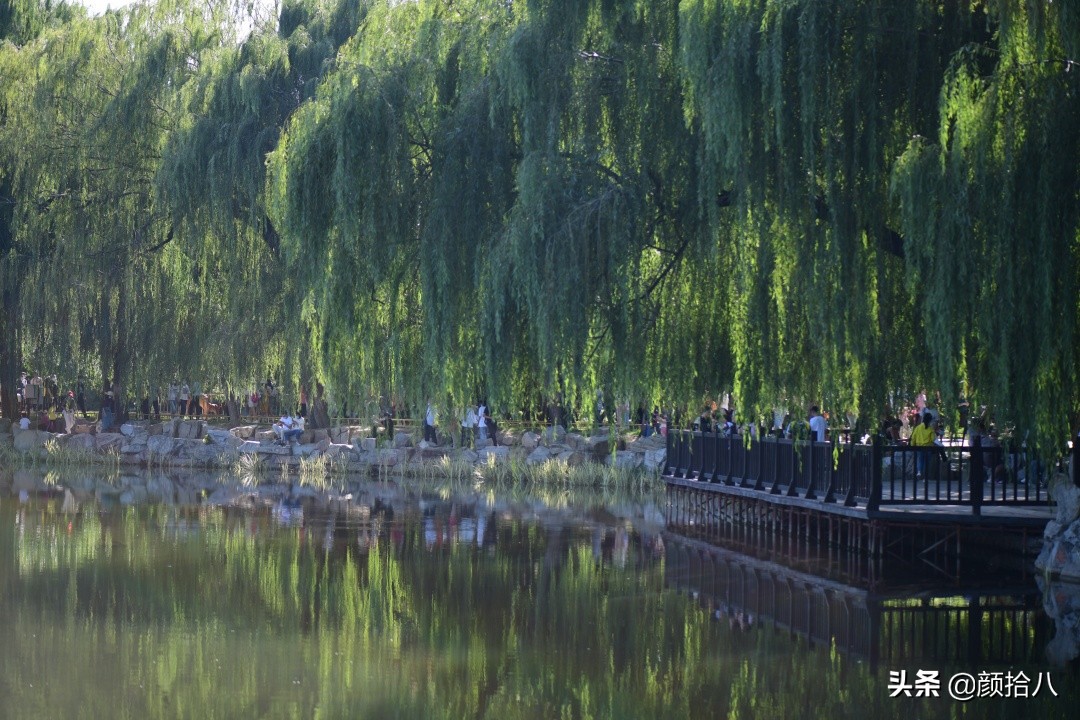北京圆明园一日游推荐,圆明园秋色如画
