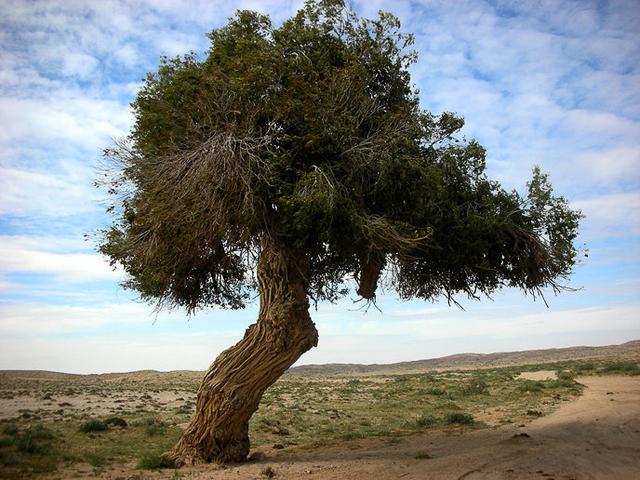 比学习重要的是学习能力,比学习成绩更重要的技巧