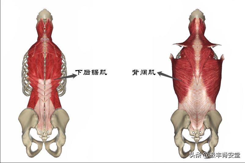腰部不舒服图片,腰不舒服但是检查都正常