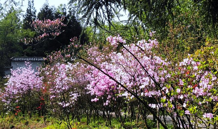 恩施文旅地产,探索湖北恩施