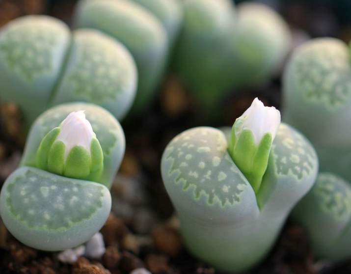 在冬季要注意什么,在冬天一定要注意保暖