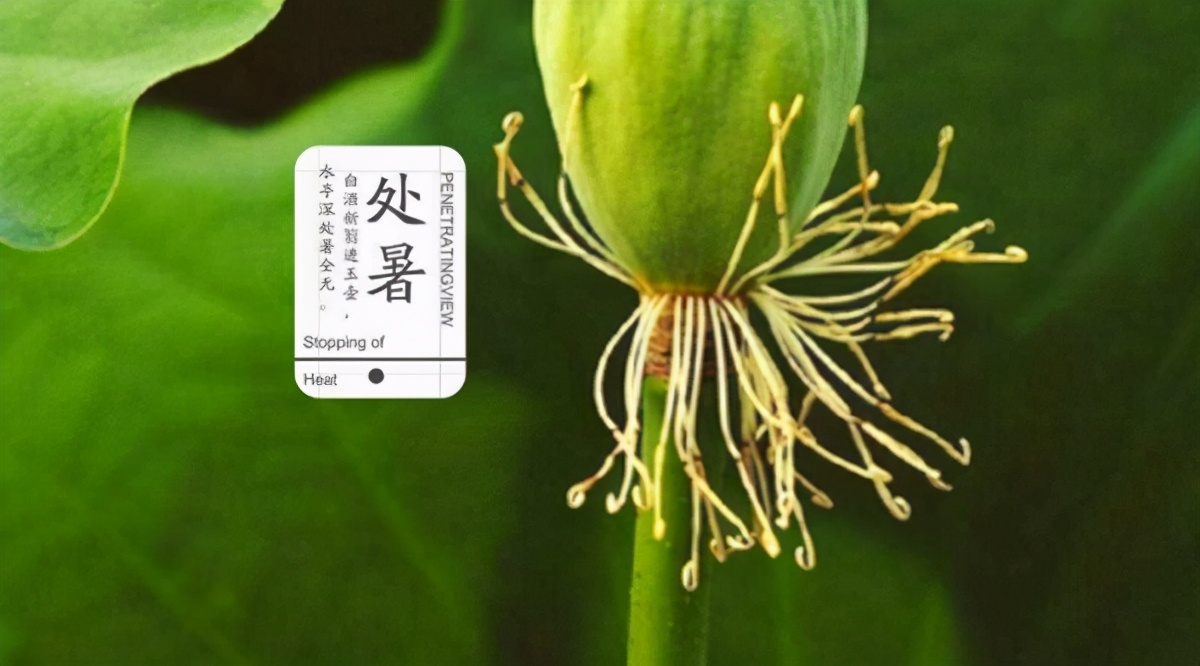 处暑是什么意思处暑的来历和风俗,处暑节气的含义是什么处暑吃啥好