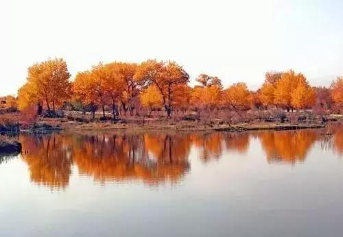 北疆的美完整版,北疆的景最美