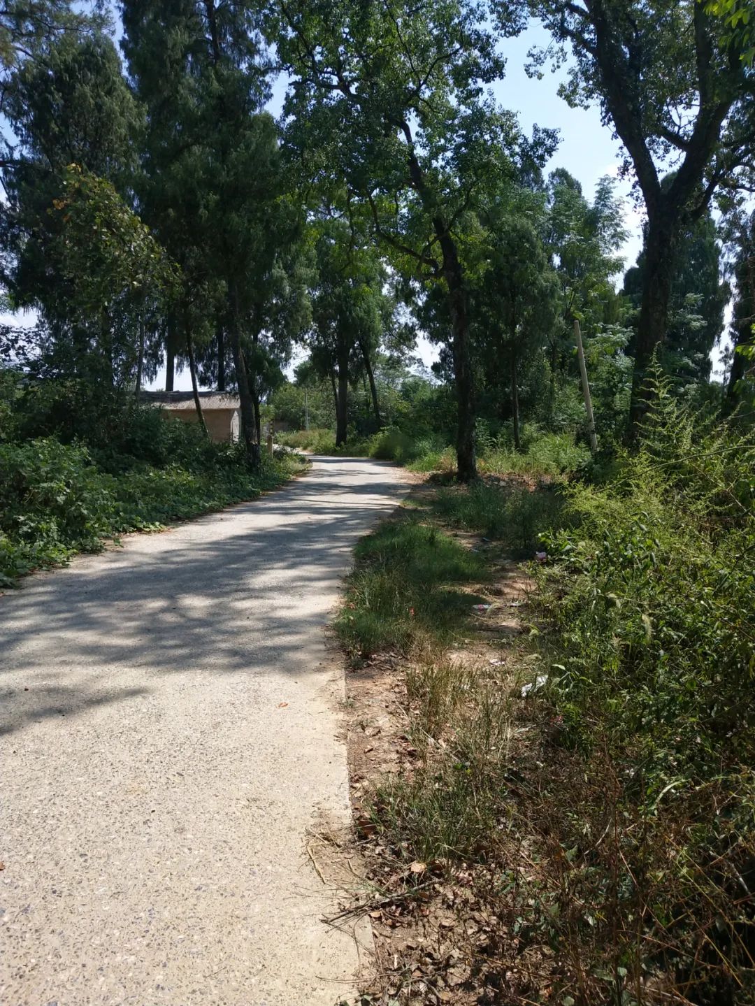 全州标志性建筑,牌坊全国重点文物保护单位