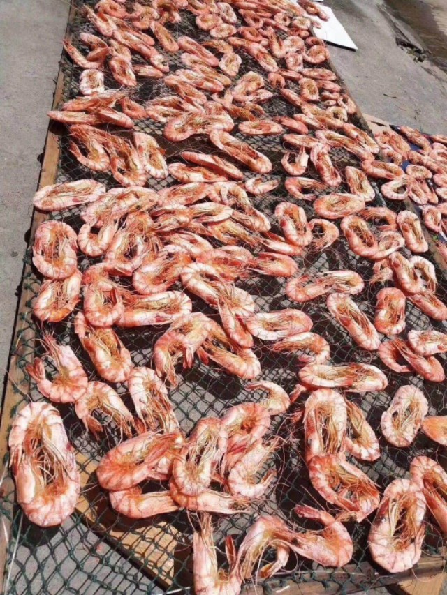 海陵岛闸坡渔港,海陵岛闸坡世界级渔港码头