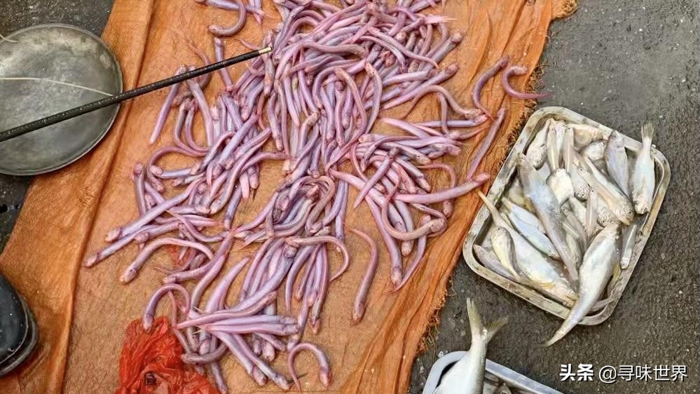 买鱼食内行人专买这十种纯海鱼,内行人就买这5种鱼