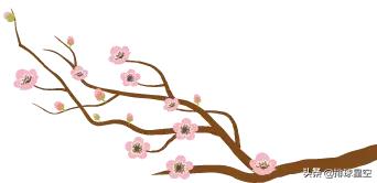 猪年聊聊中国女排那些属猪的女孩们