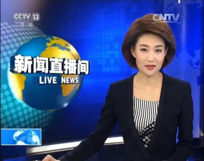 我最喜欢的节目主持人,央视主持人排名前十名都有谁