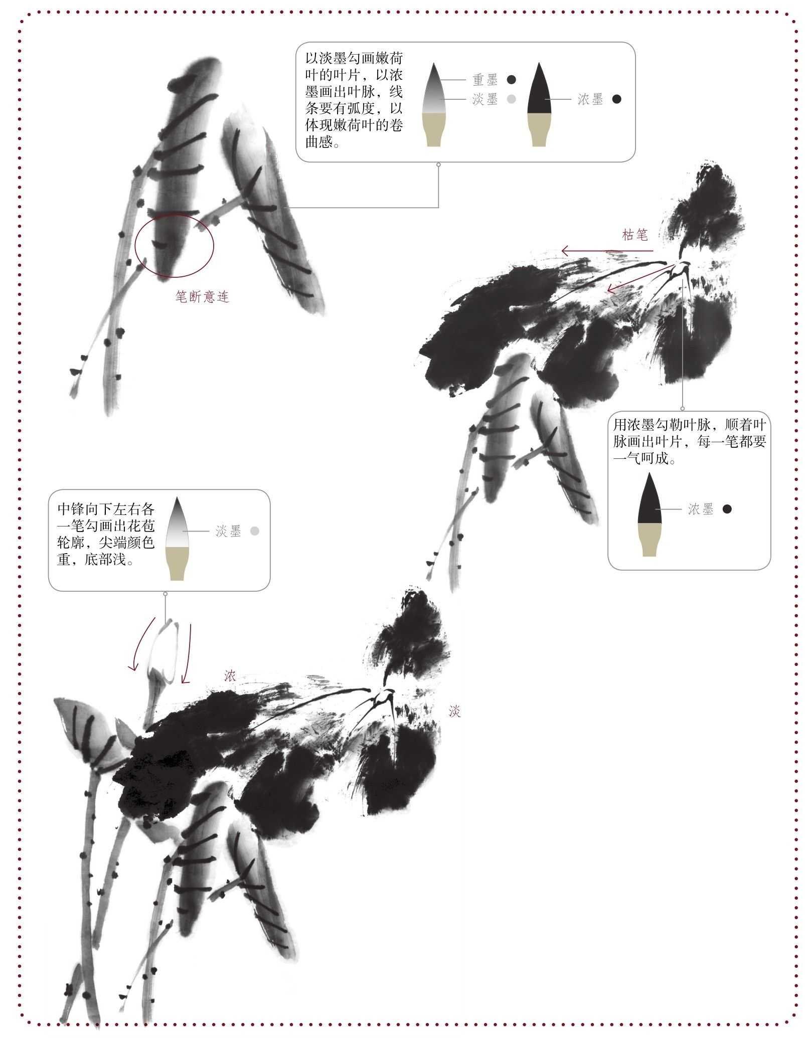 荷花荷叶组合画法,荷花组合教程完整版