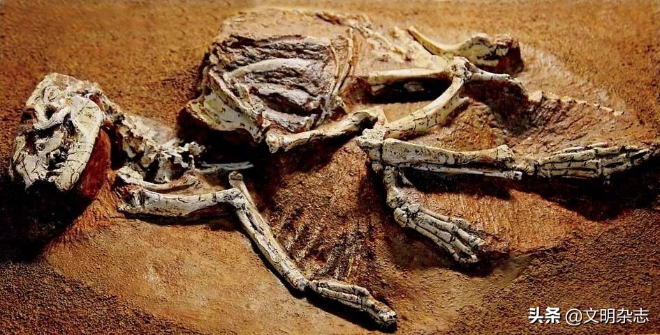 神秘的天柱山,天柱山主峰之谜