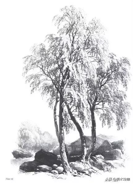 40张经典素描,40张经典素描风景图快拿去临摹吧