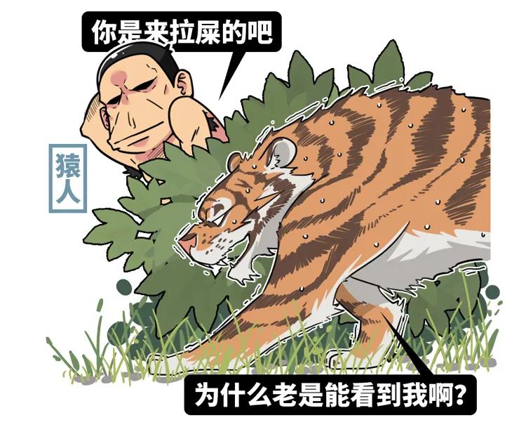 猩猩为什么战胜人类,人类与猩猩的祖先是一样的吗