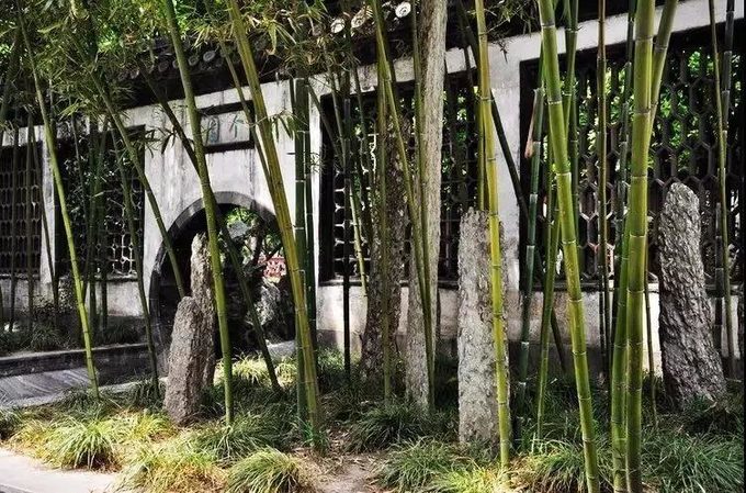 玉人何处教吹笙,玉人何处教吹箫什么梗