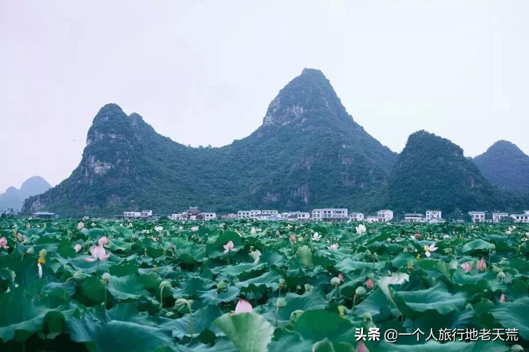 广西哪些城市是靠一碗粉火起来的,凭一碗螺蛳粉征服世界