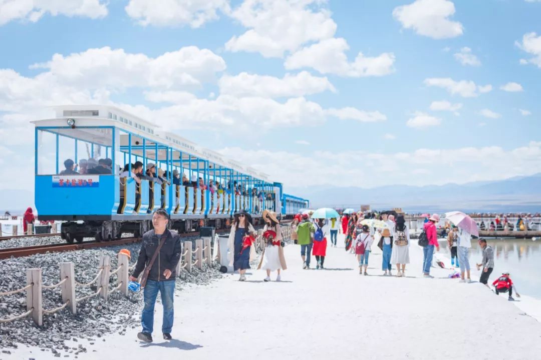 只要你面朝青海湖，八月依旧春暖花开