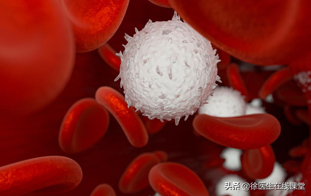 肿瘤化疗白细胞减少可以用什么药,肿瘤患者白细胞高可以用化疗药吗