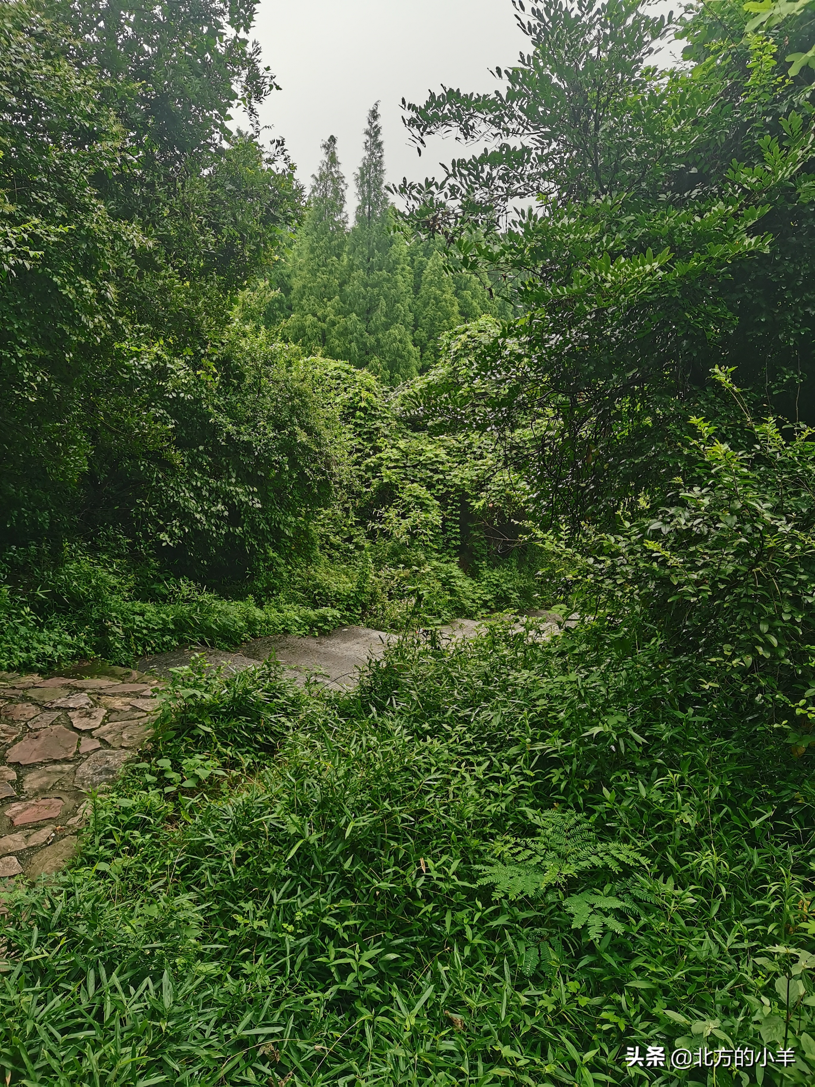 无锡三国城水浒城,无锡水浒城景区