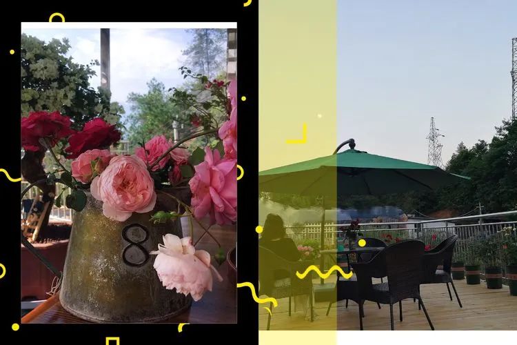 冬去春来,愿你无恙,疫情退去,养肉依旧!