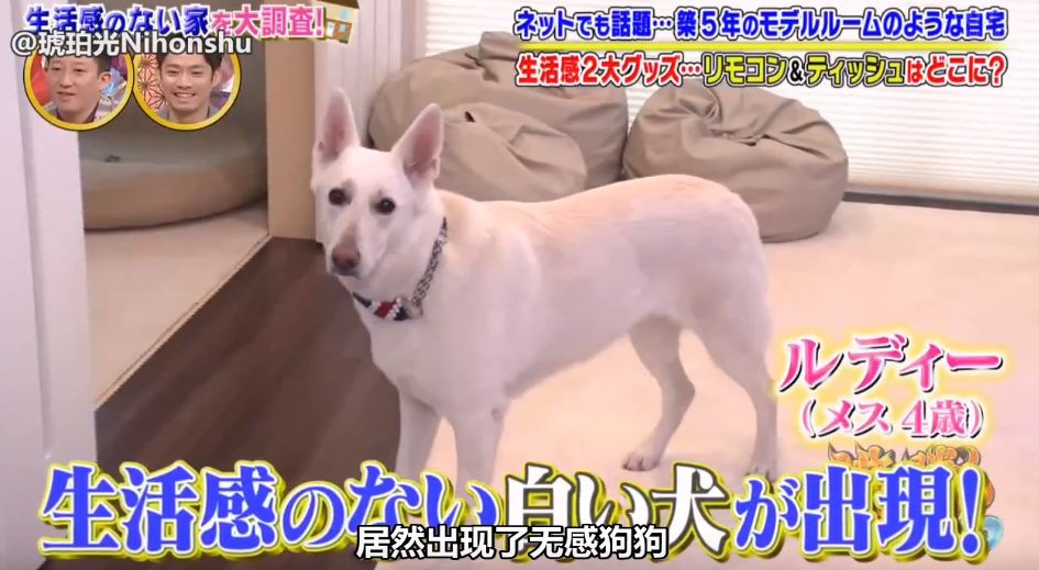 日本样板房细节,日本最好看的样板房