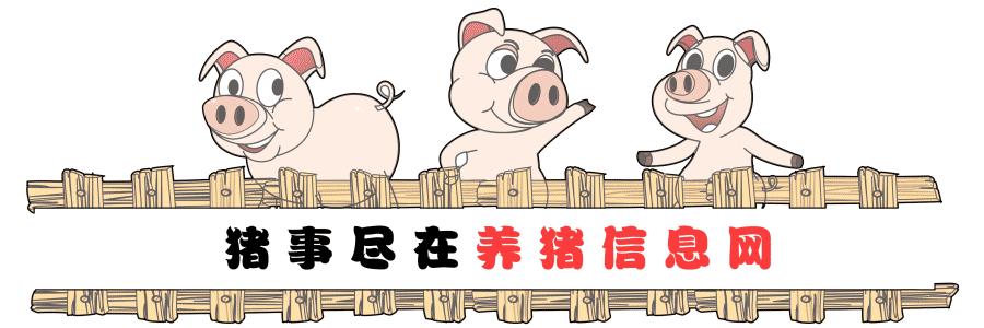 猪基因辅助育种,猪分子育种技术及发展趋势