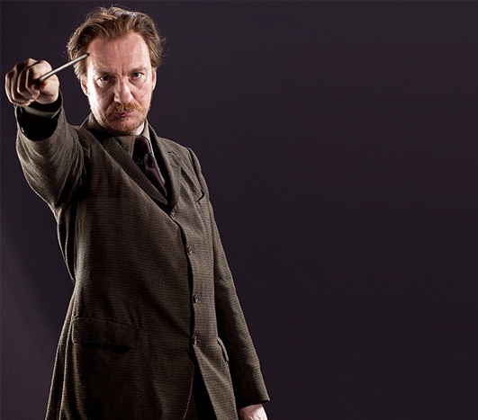 哈利波特十大最受喜爱人物,哈利波特中最受欢迎的10个人物