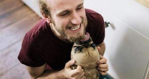 狗狗老是舔人代表什么意思,狗狗舔人意味着什么意思