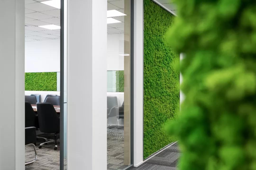 受欢迎的案例,最新的项目案例