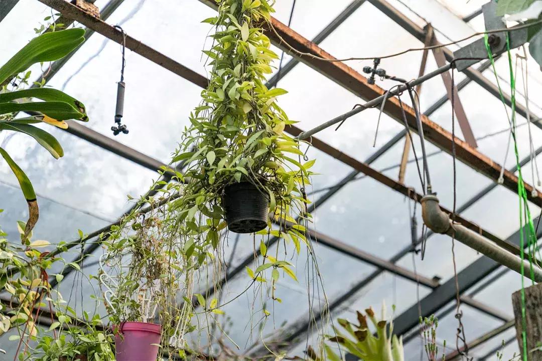 深圳大学游玩攻略一日游,深圳大学打卡攻略