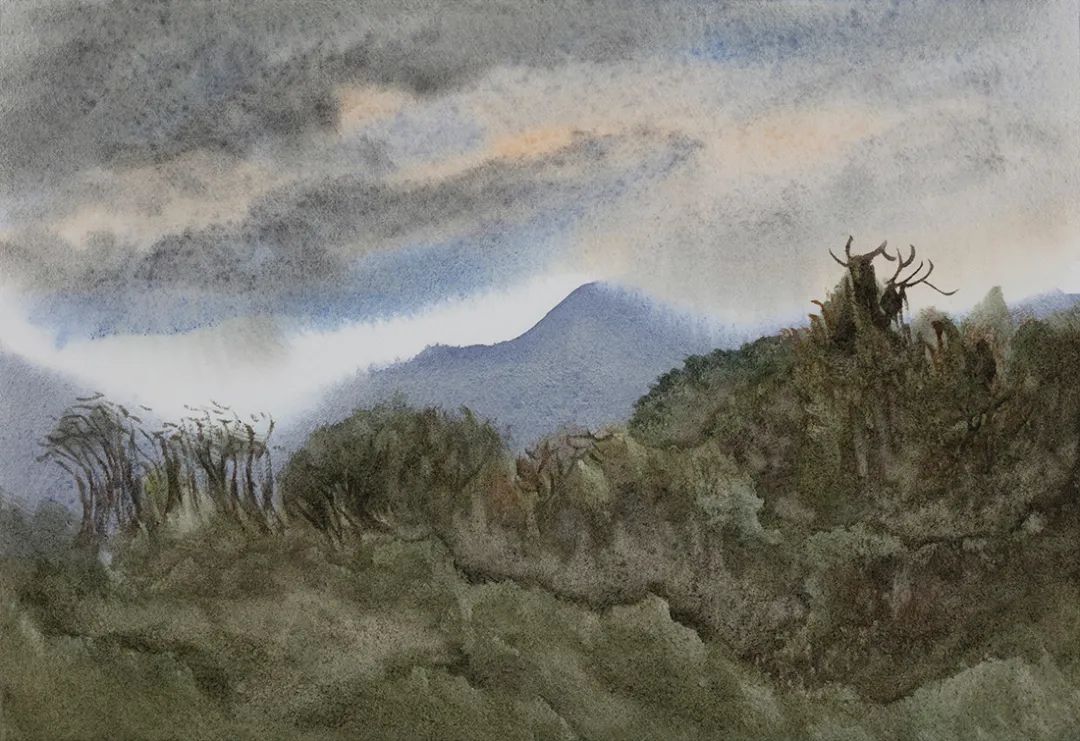 阿文绘画工作室,阿文流体画荷花