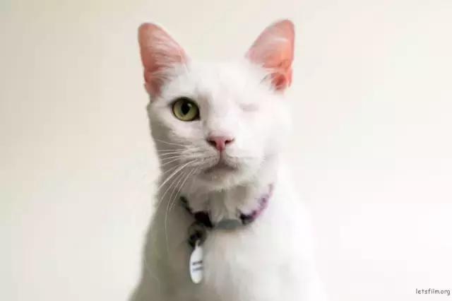 大家今年拍过最好看的照片,近期拍的最好看的照片