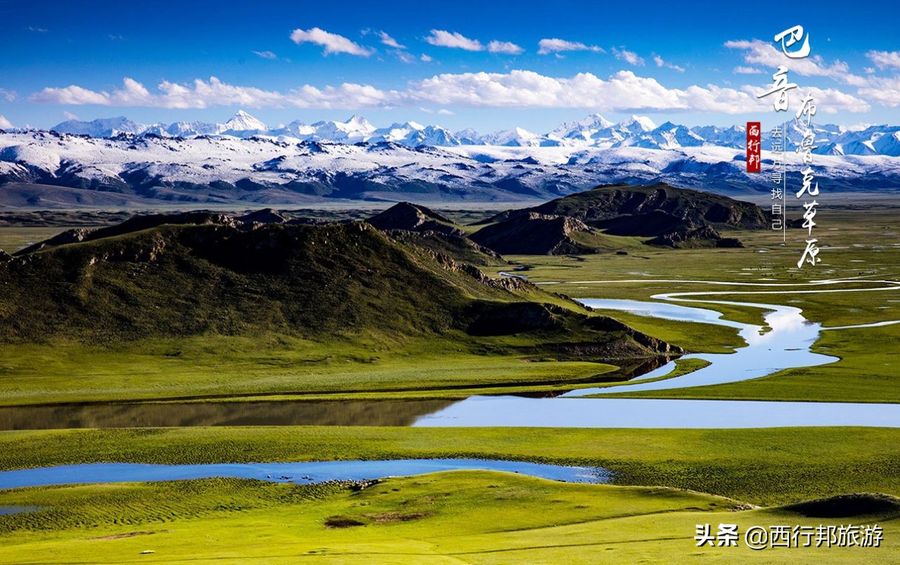 哼，又想「骗」我去*疆新**旅游！