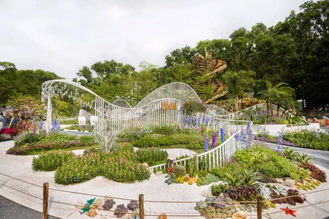 未来10天预警，深圳最最最最火的地方在这里，美女都赶来打卡