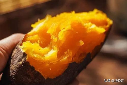 春季钓鲤鱼用纯虫好吗,春季钓鲤鱼用什么味颗粒