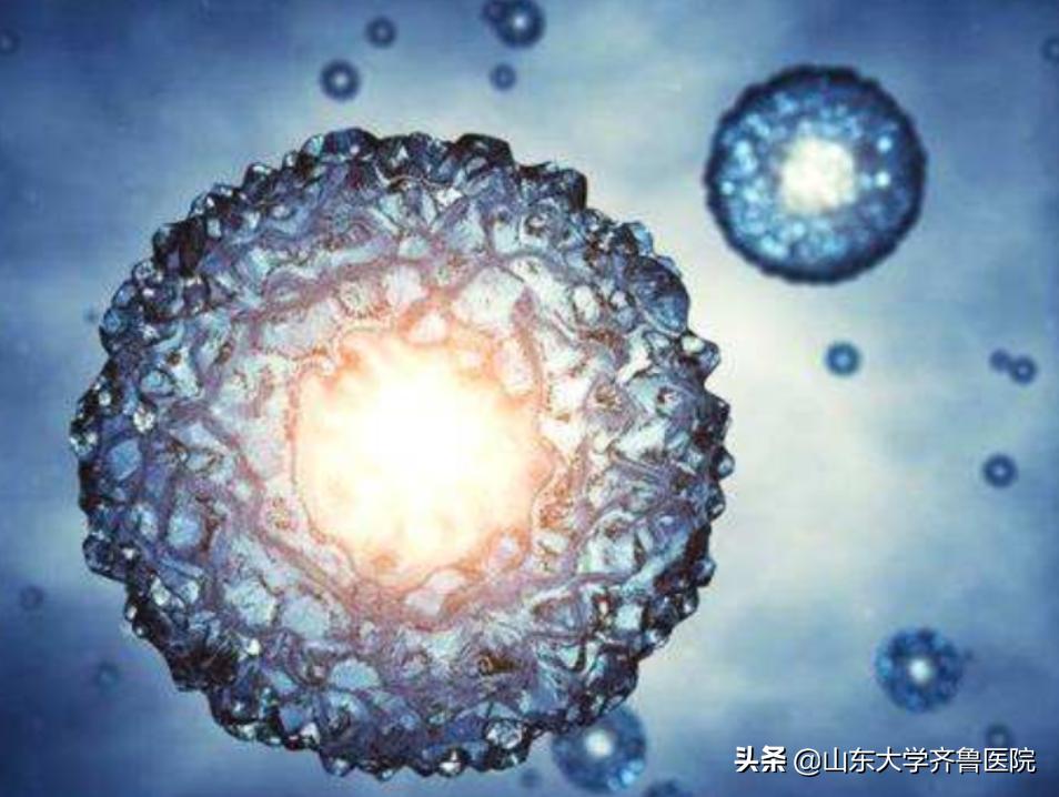 从梦想到希望——卵子冷冻让您的人生不再遗憾