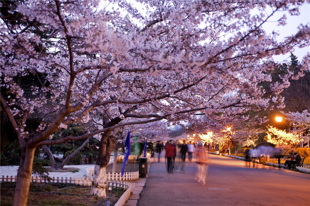 小长假说走就走,短途旅游说走就走