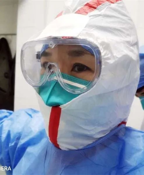 美丽迎春花开了,迎春花盛开的绝美春日盛景