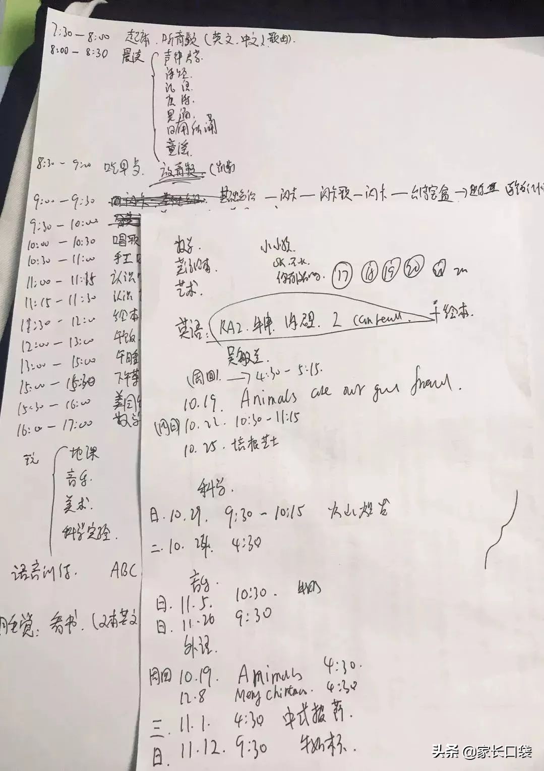 鸡娃日常规划假日,鸡娃计划表完整版