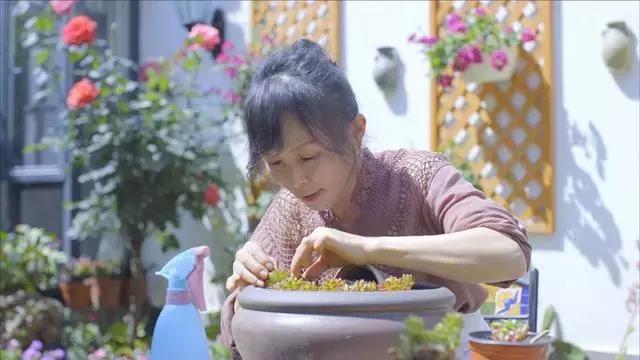 大理最值得去的打卡地方 (大理古镇值得打卡景点)